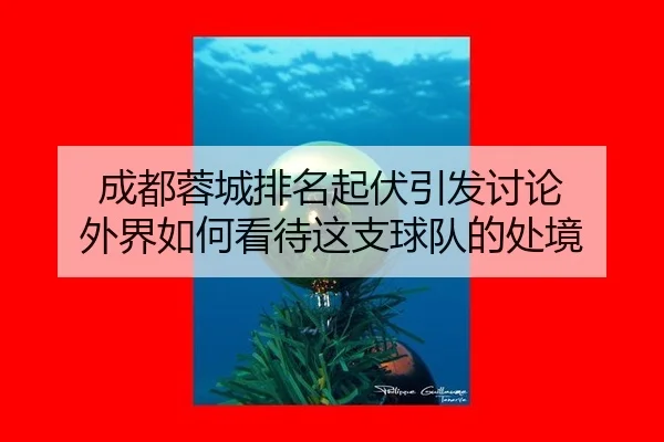 成都蓉城排名起伏引发讨论 外界如何看待这支球队的处境